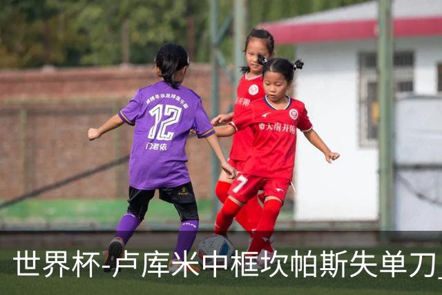 世界杯-卢库米中框坎帕斯失单刀 瑞士平哥伦比亚进点球